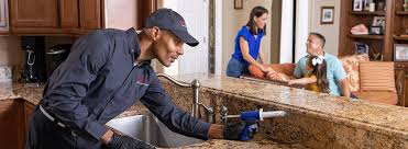 Best Real Estate Pest Inspections  in Mounds, OK